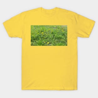 Spring grass, flowers, nature photo T-Shirt